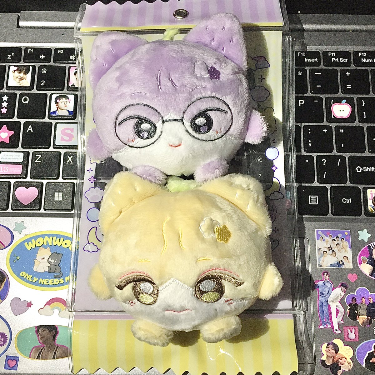 doy^. .^₎Ⳋ tweet media