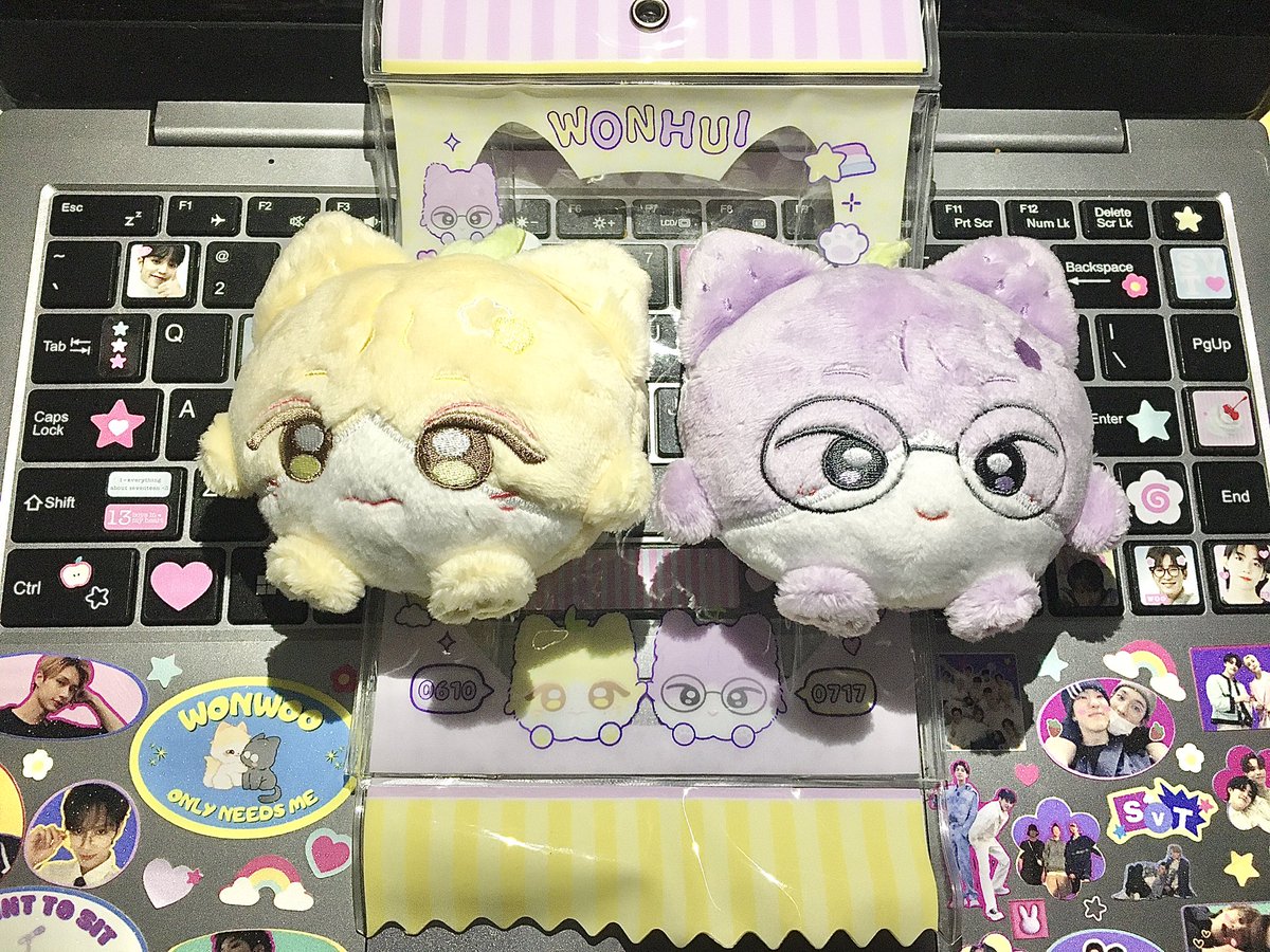 doy^. .^₎Ⳋ tweet media