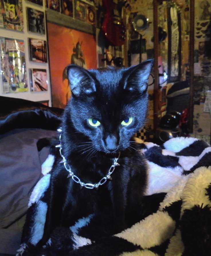 .⋆♱⃓ tweet media