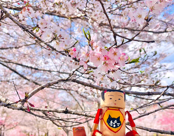 春の思い出 長湯温泉しだれ桜の里にて。 #おきんじょ人形