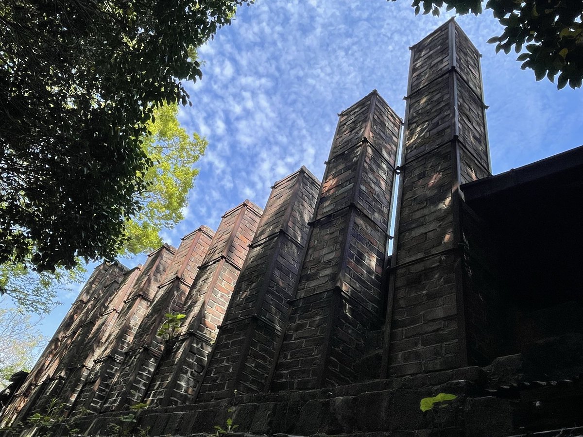 J&R ママ🐢🐉📦 tweet media