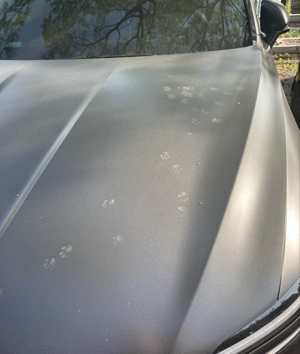 머니없으 tweet media