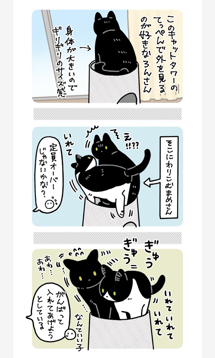 結構ムリヤリ自分のスペースに割り込まれても、頑張ってスペースを譲ってあげようとするろんさん、とてもやさしい子