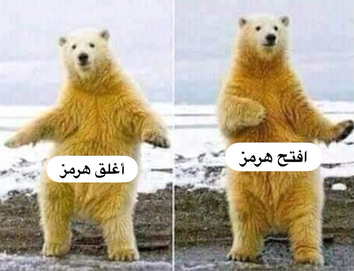 معاذ 🇸🇦 tweet media