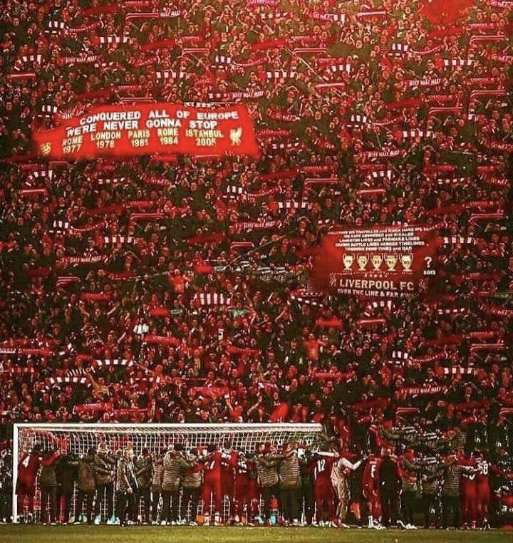 Infinìtø 🇸🇳🇵🇹 tweet media