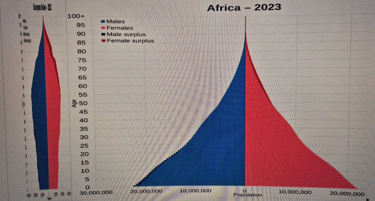 GleiRolf's tweet photo. @berlinerzeitung Unsinn, man muss differenzieren. Europäer sterben langfristig aus, Afrika explodiert. Sieht man an den Alterspyramiden, gleicher Maßstab. #Demografie https://t.co/FKblVFa6fX