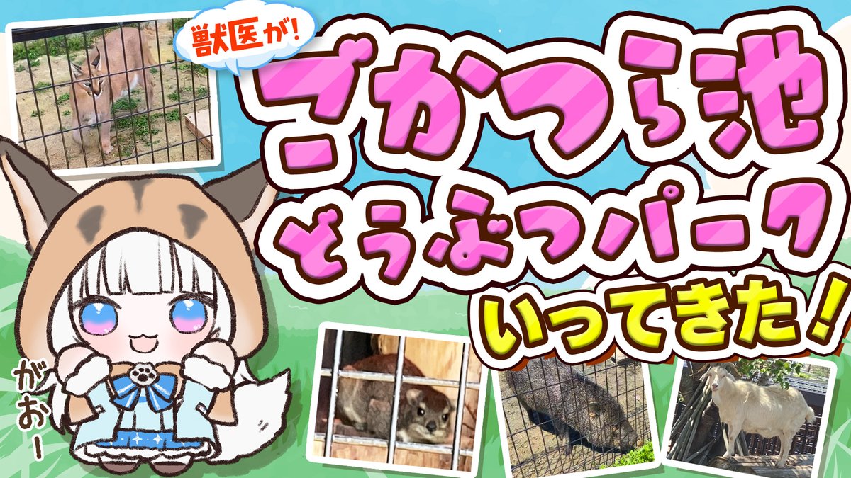 北国ここな🦊🧬獣医Vtuber tweet media