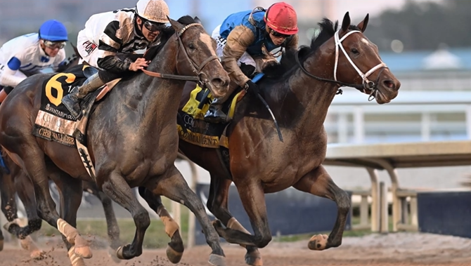 The RacingDownWind Community tweet media