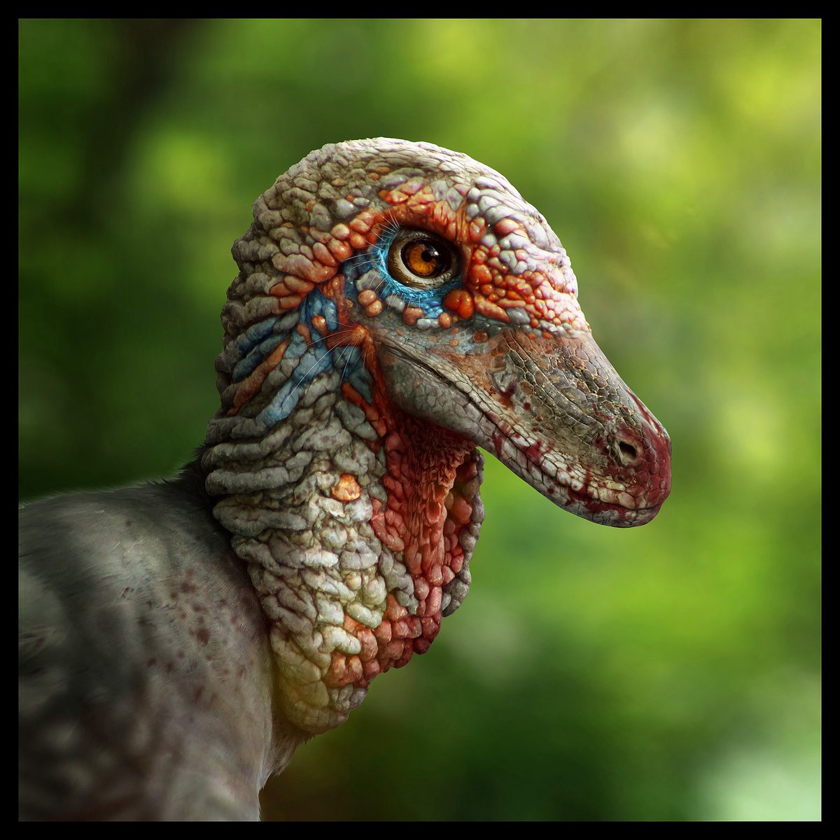 DragonsofWales tweet media