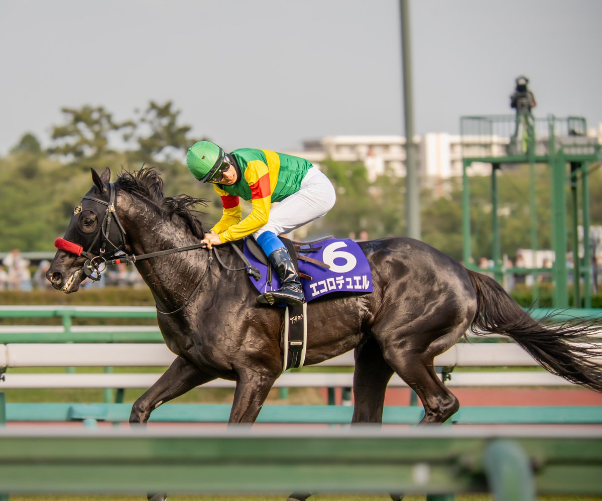 りょす🏇📷 tweet media