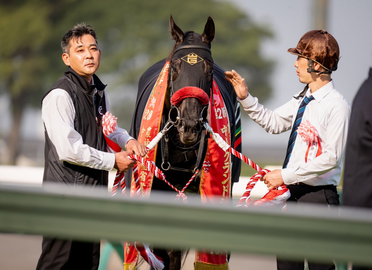 りょす🏇📷 tweet media