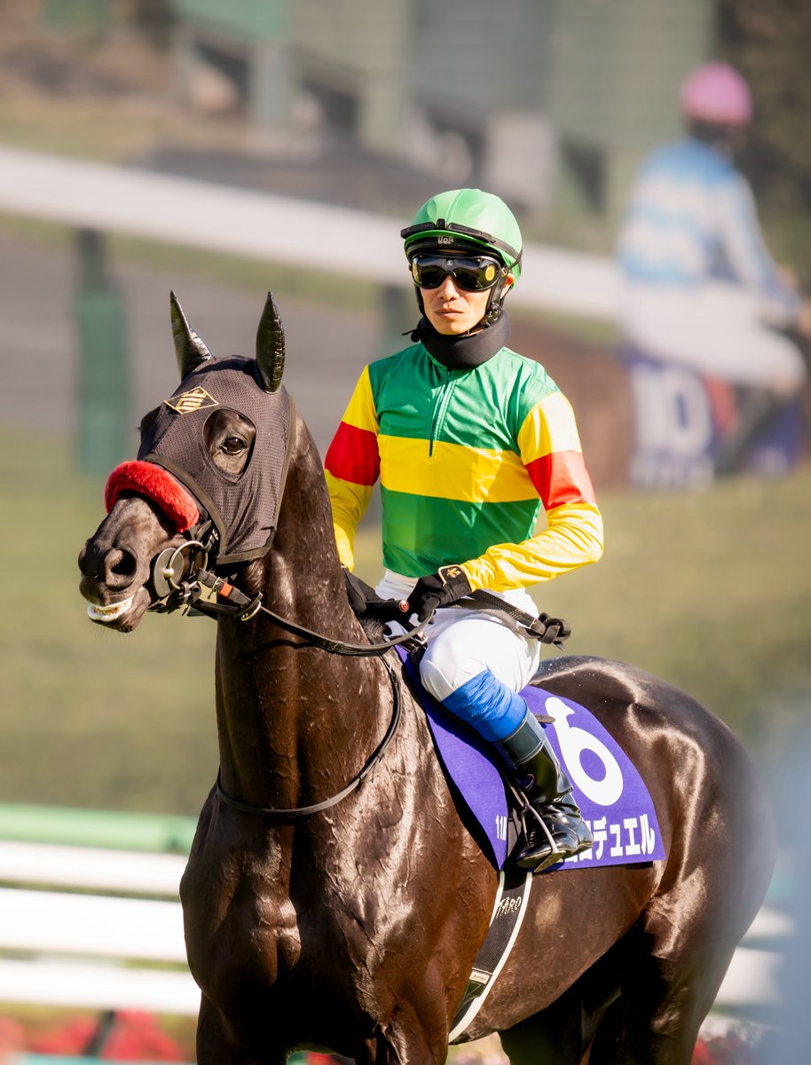 りょす🏇📷 tweet media