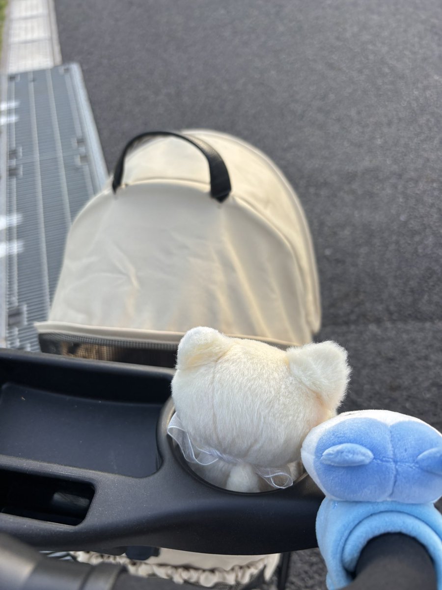 まろまろふぁみり〜 tweet media