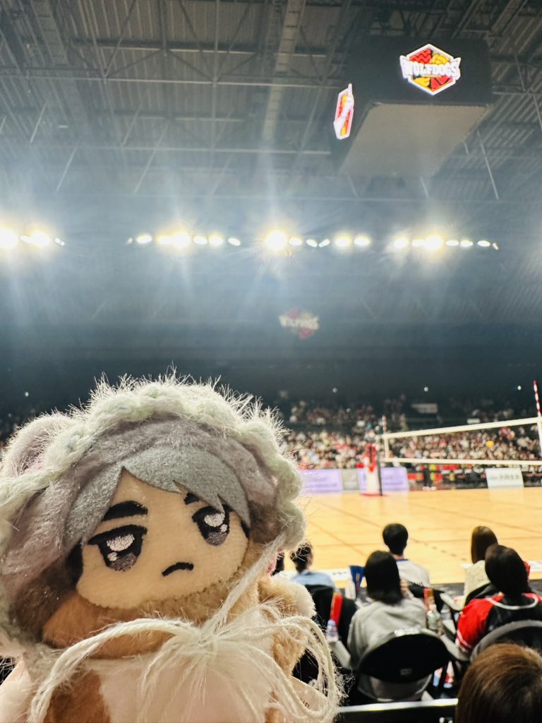 まつり🌷 tweet media