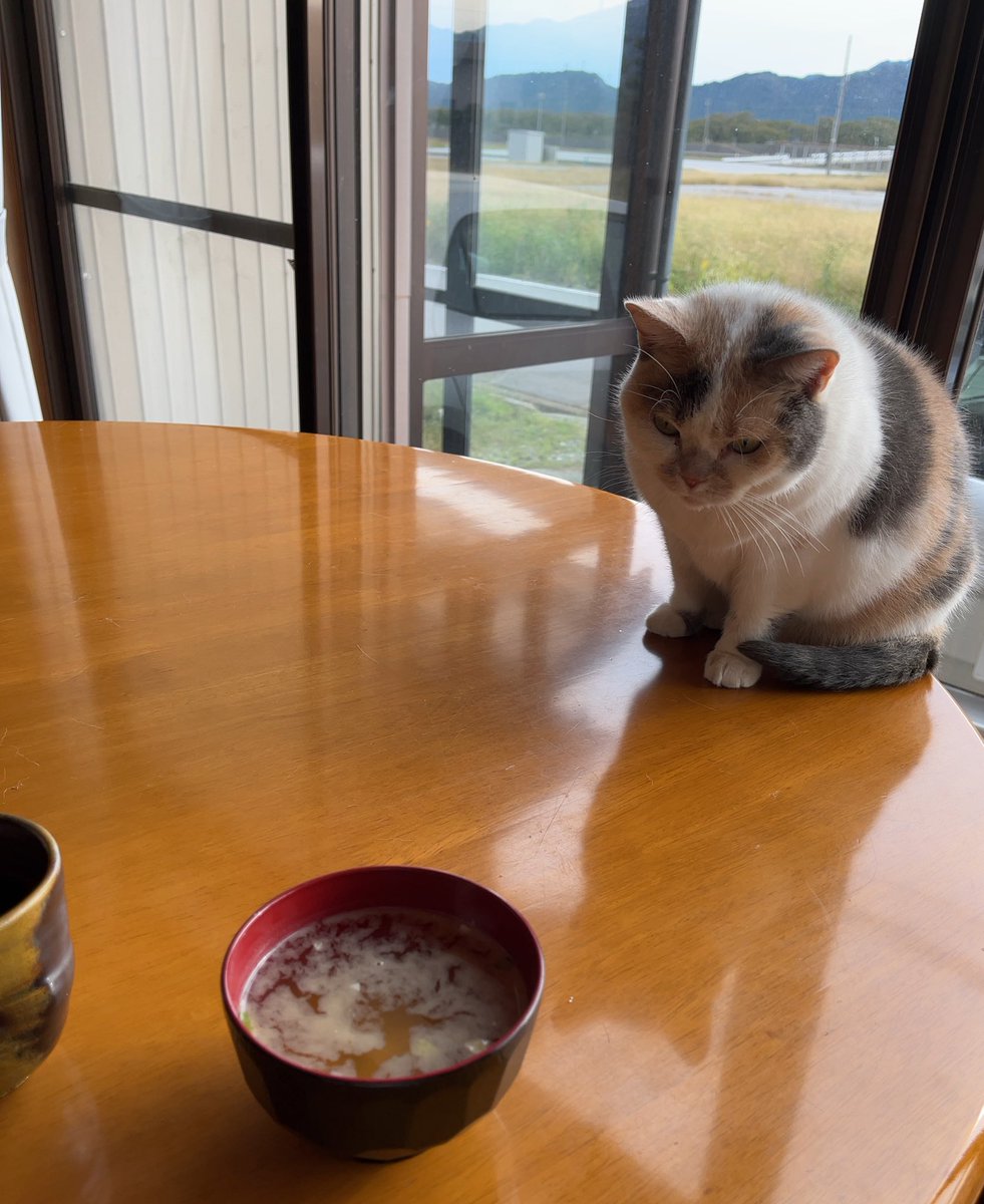 yumegiwa books｜オンライン本屋+棚主 tweet media