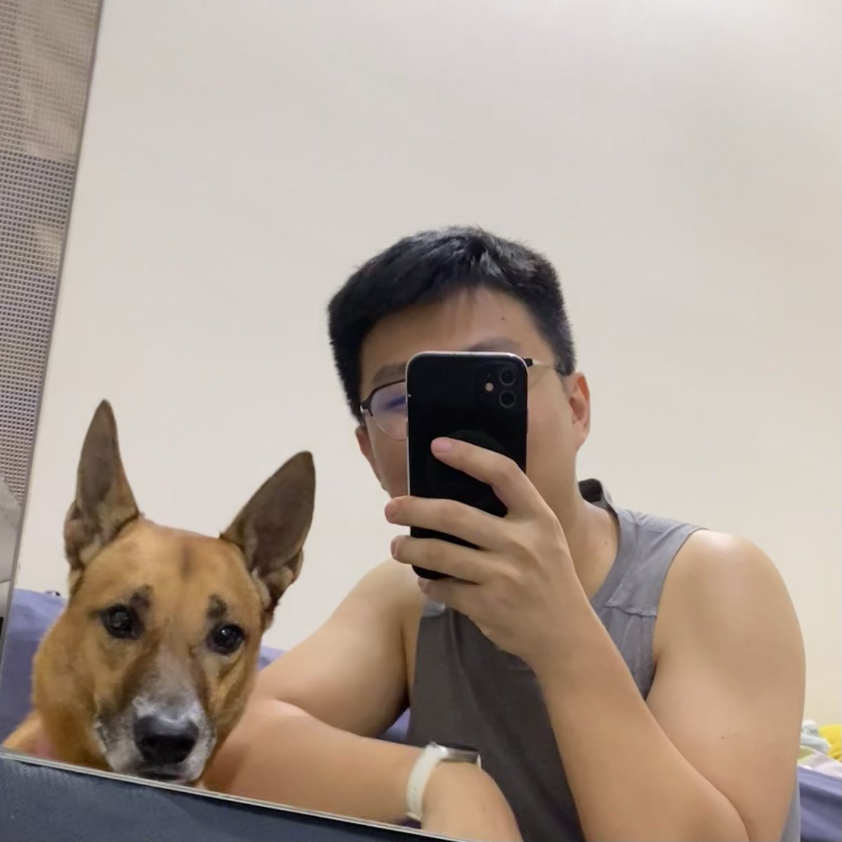 Workout buddy

#dog #workout