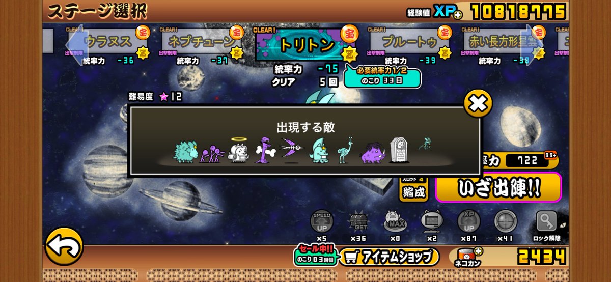 こねこ教 tweet media