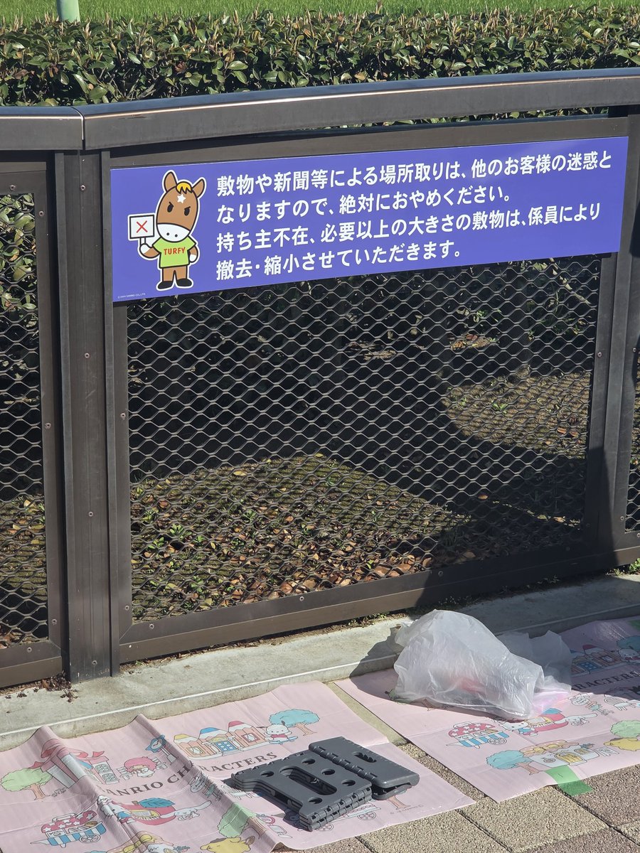 カダ tweet media