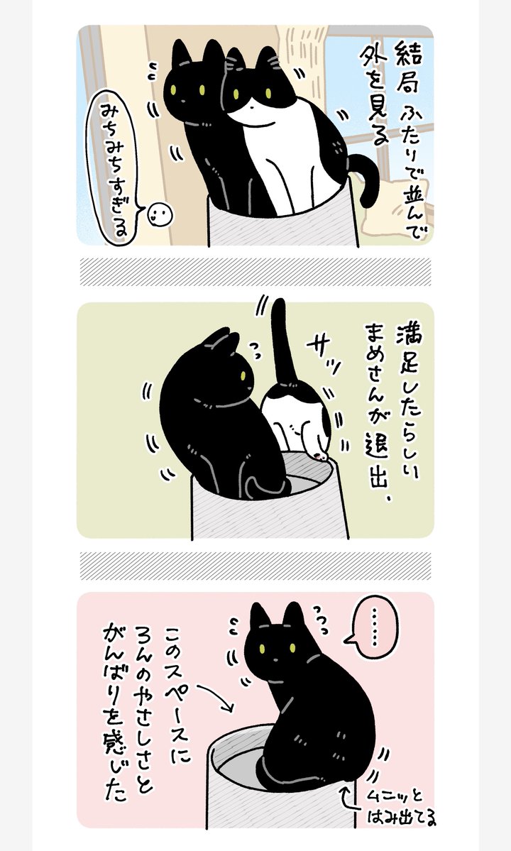 AKR🌱⑧巻6月発売 tweet media