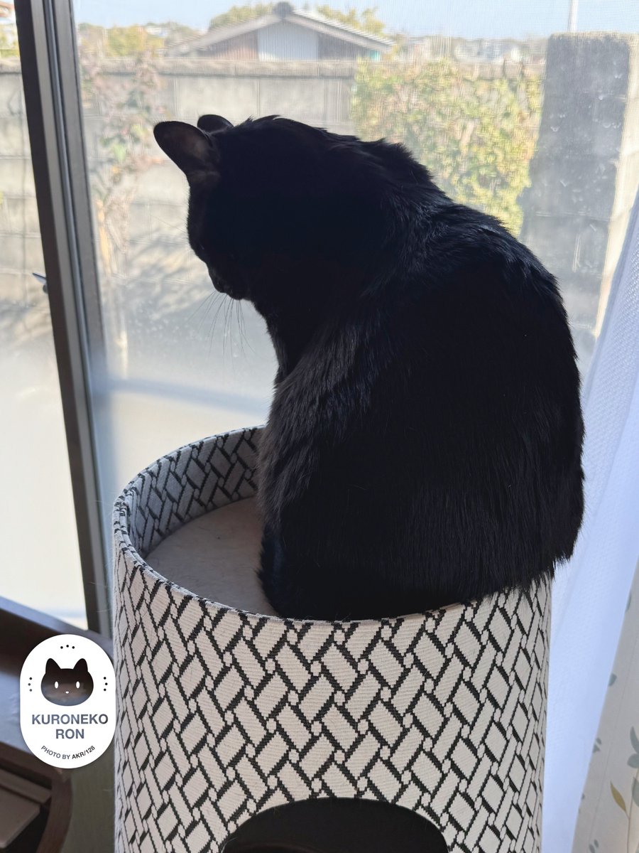 AKR🌱⑧巻6月発売 tweet media