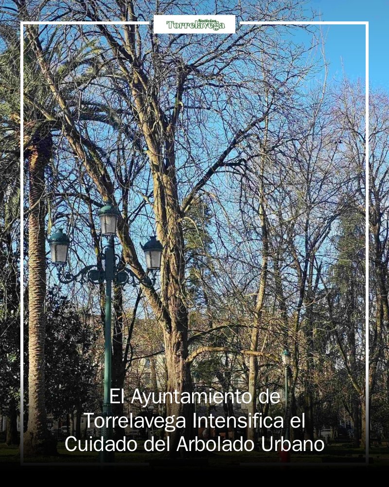 Noticias Torrelavega tweet media