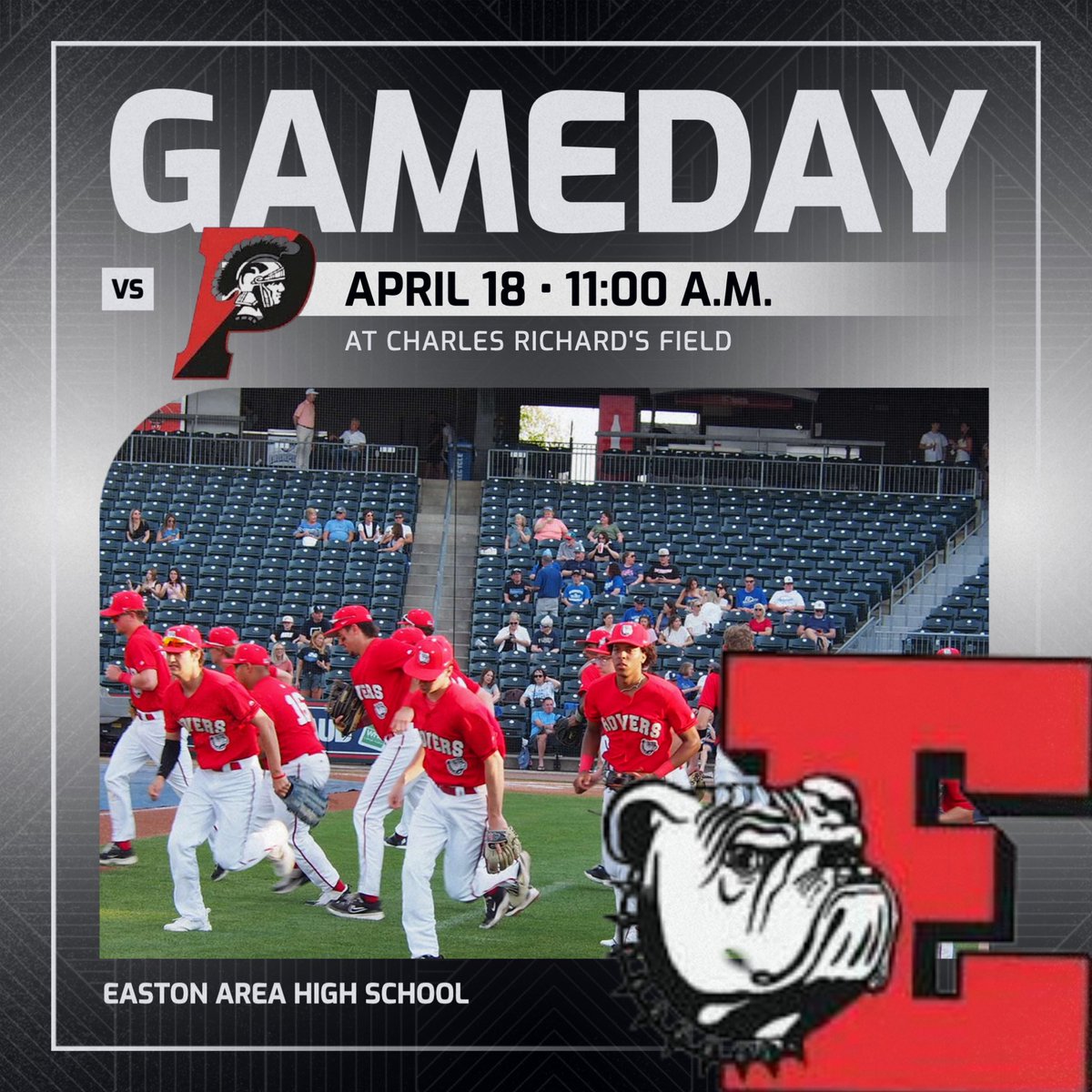 Rover Baseball tweet media