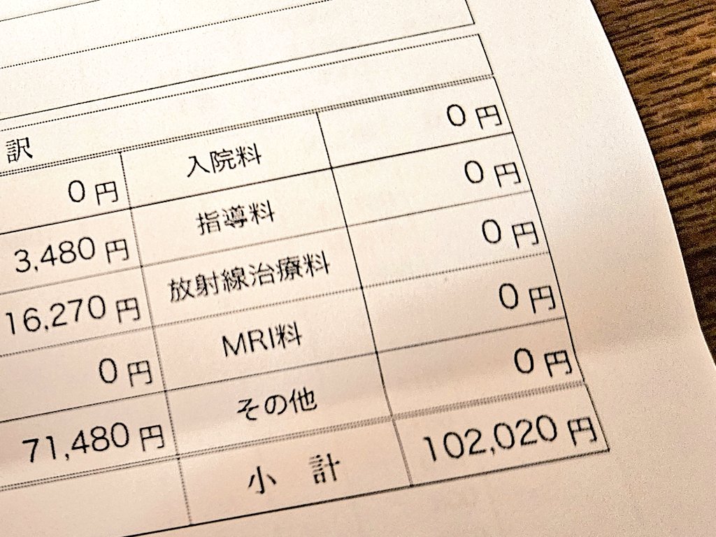 りさ☺︎こむぎとこはる* tweet media