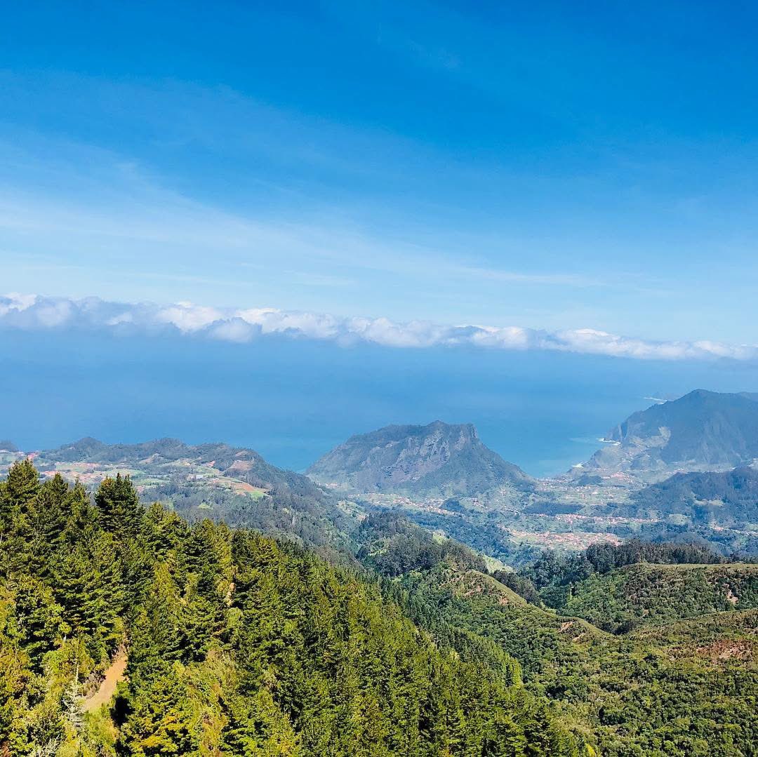 Kevinosjcp1's tweet image. ISLAND LIFE 😎🏃‍♂️⛰️💚🍃🌳🌲🙏🏻#MountainWalks #WeekendVibes #BeautifulNature #AlwaysGrateful