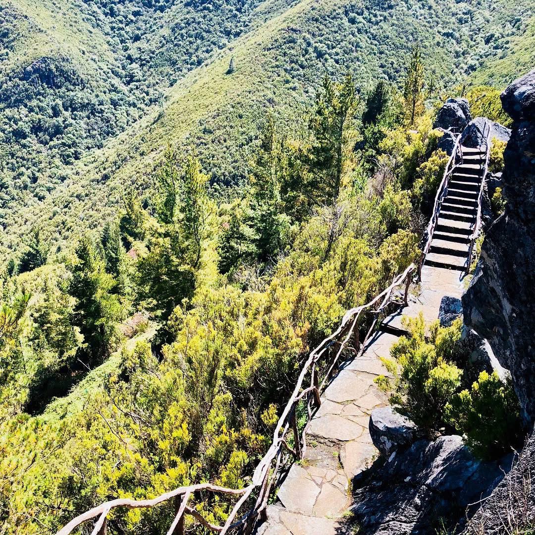 Kevinosjcp1's tweet image. ISLAND LIFE 😎🏃‍♂️⛰️💚🍃🌳🌲🙏🏻#MountainWalks #WeekendVibes #BeautifulNature #AlwaysGrateful