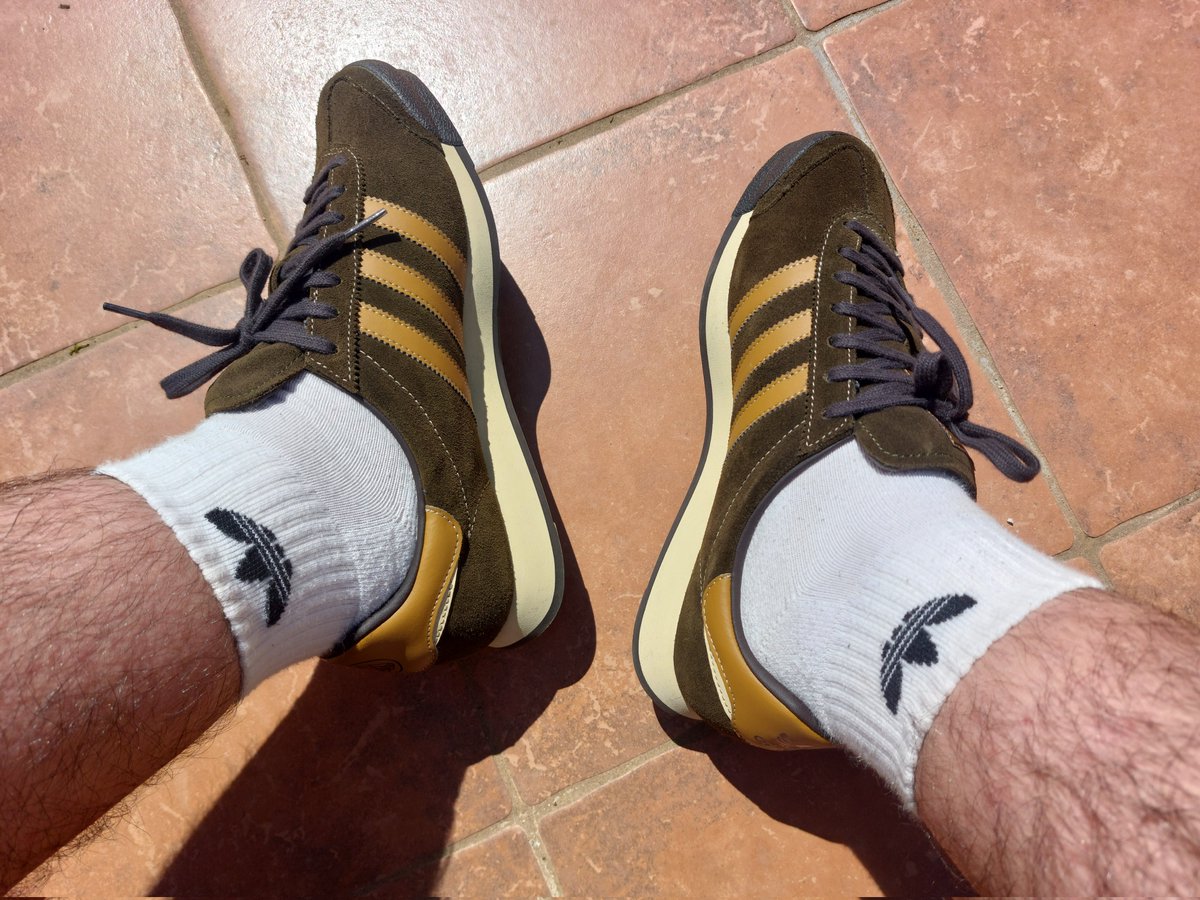 catMaimone♧ tweet media