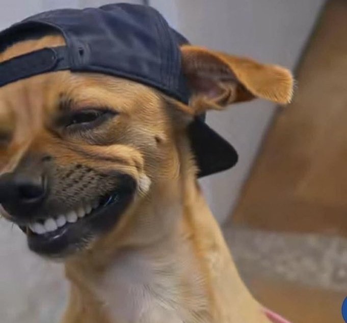 𝒁𝒆𝒆𝒁𝒖 🥷🏾 tweet media