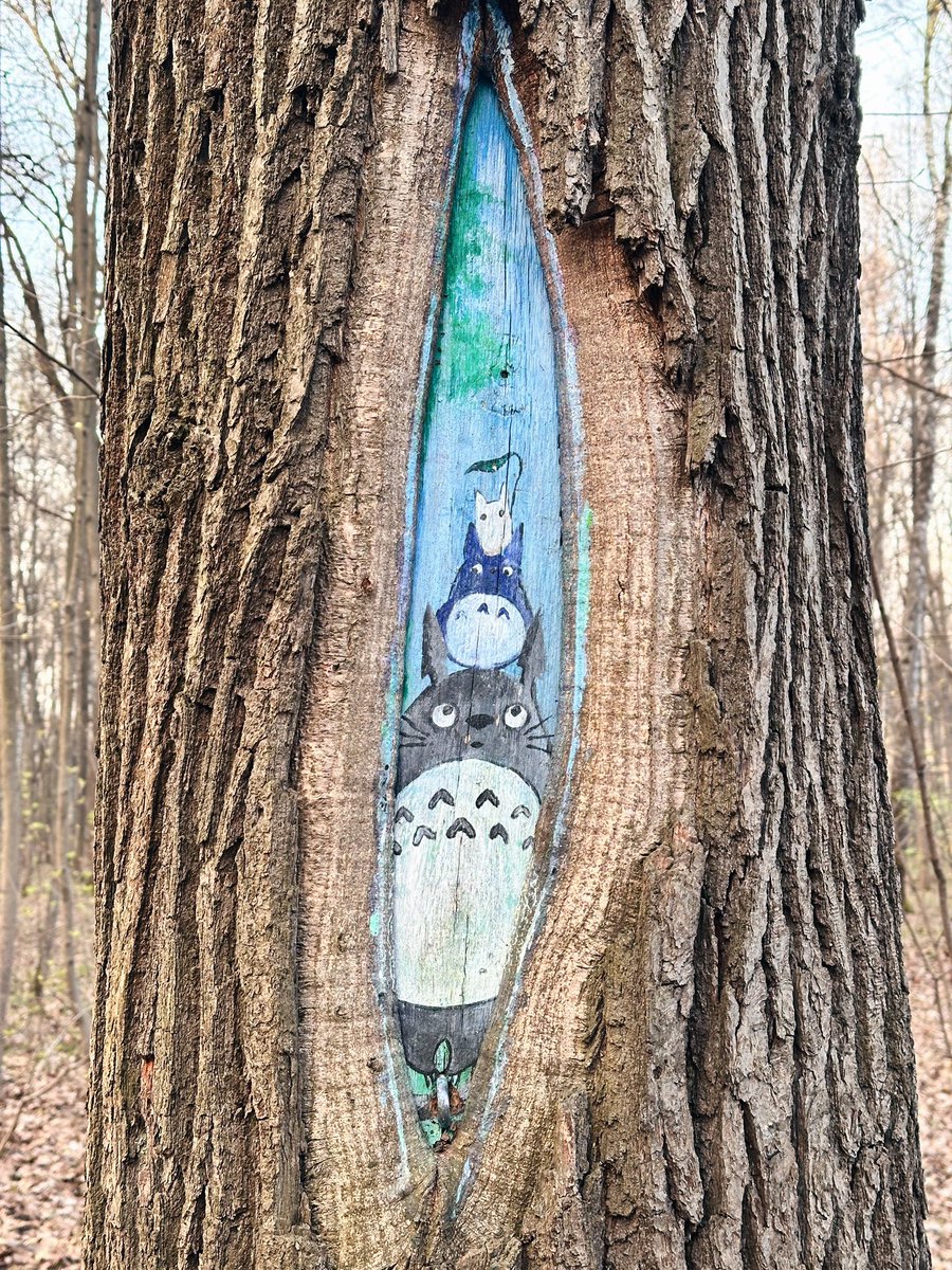 Ёж на крыше 🦔 tweet media