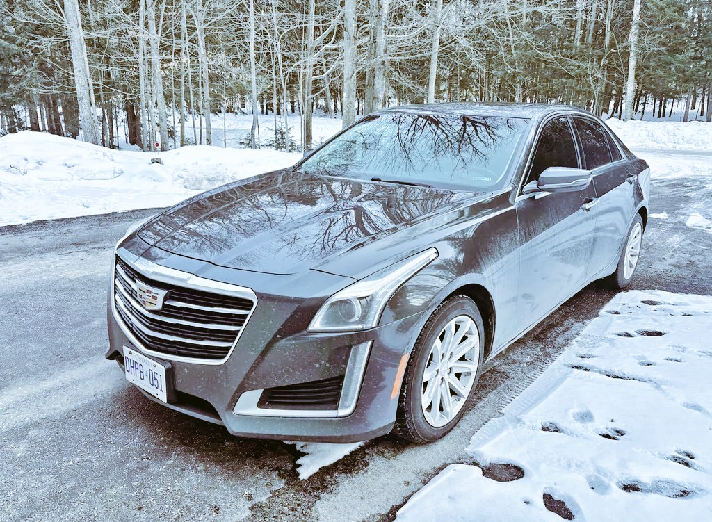 Millishield 01 🚘🌽🫑🌶🦈🐔 tweet media