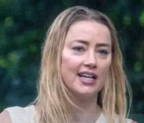 Jungle Juice tweet media