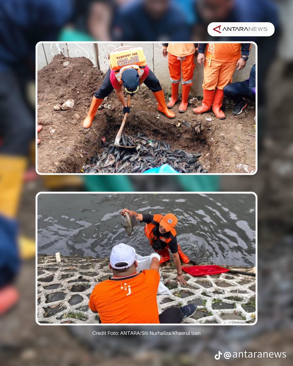 TXT DARI JAKARTA tweet media