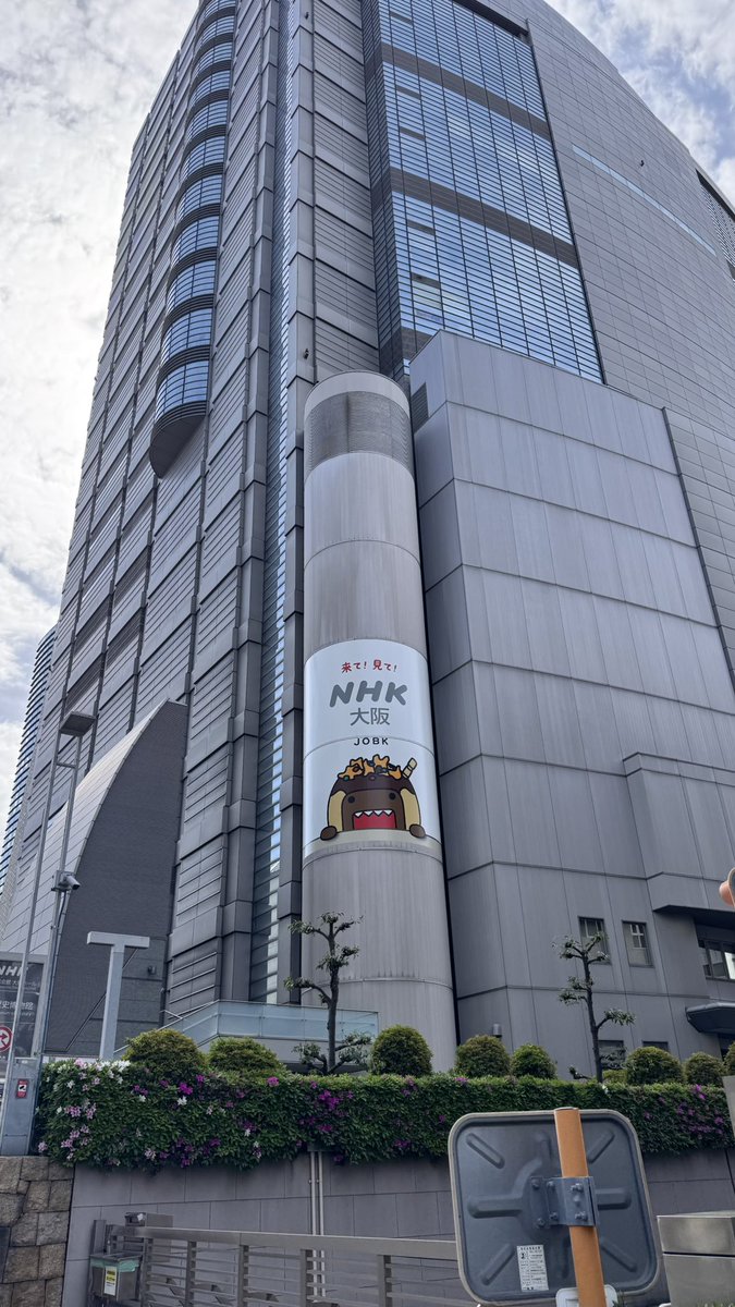 朝香智子🎹あさぴ🐯 tweet media