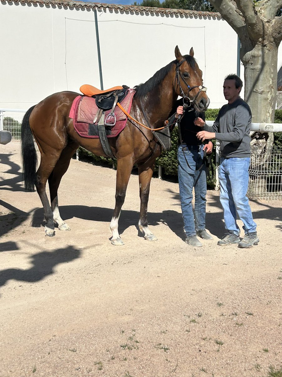 piedi_s's tweet photo. Hoy hemos visto entrenar a Alaskan Gold 🐎 
Qué buena iniciativa  de @ArrizkorretaR
 y #GaloperX para aficionados al Turf 👏👏
@HipodromoMadrid https://t.co/cBm3ZgabjJ