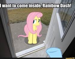 lonely blud :( 🌈🌩️🦋🇦🇪🇮🇷🇴🇲 tweet media