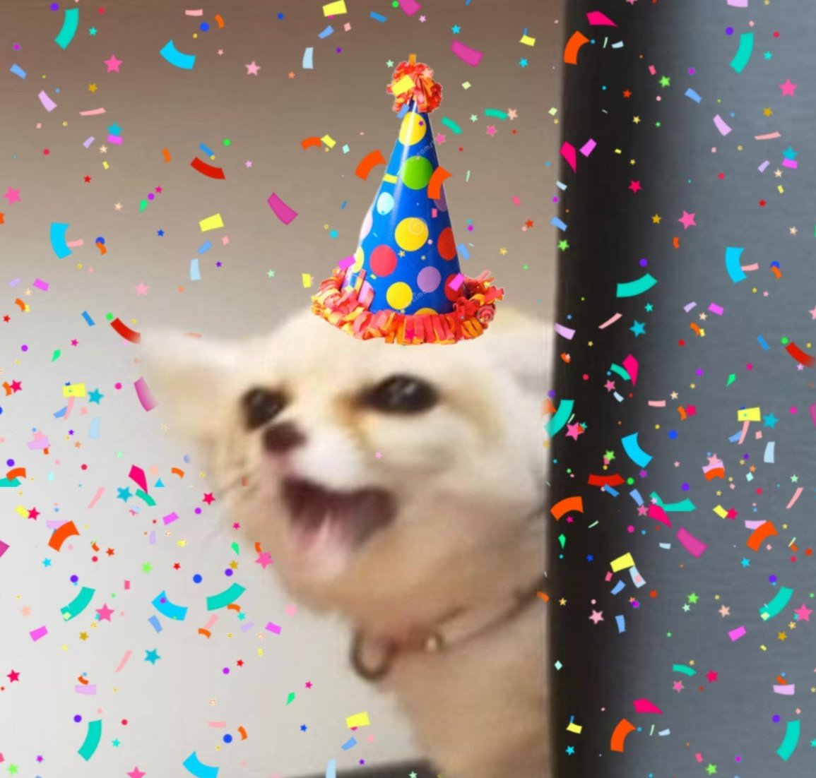 fennecfoxdavid's tweet photo. Day #1158 of David Tennant as a Fennec Fox!

HAPPY BIRTHDAY DAVID TENNANT!! 🎉🥳🎂🫅 https://t.co/JepAupwurC