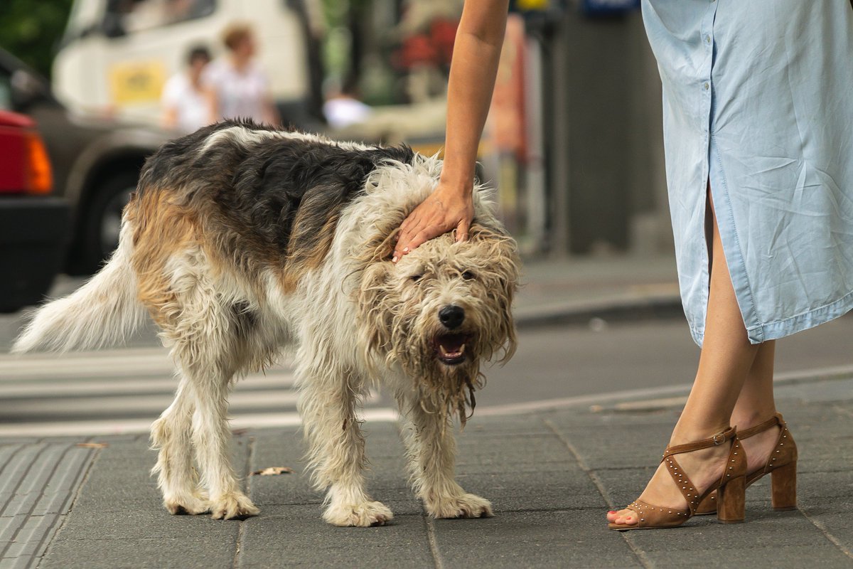 martin coetzer tweet media