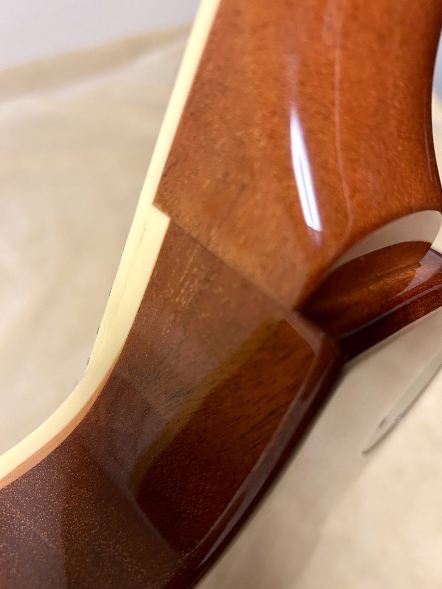 マダム銀子🦊 tweet media