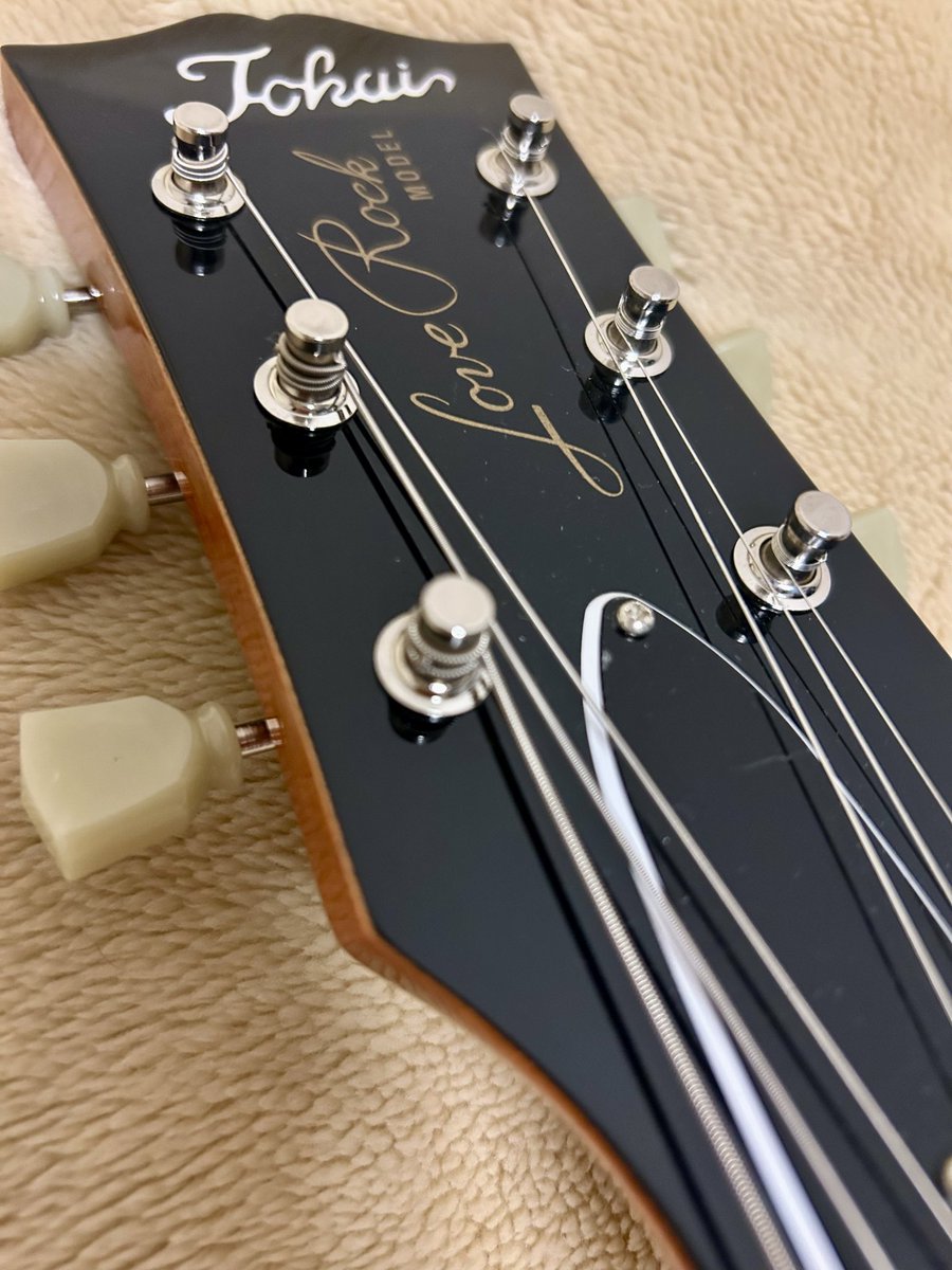 マダム銀子🦊 tweet media