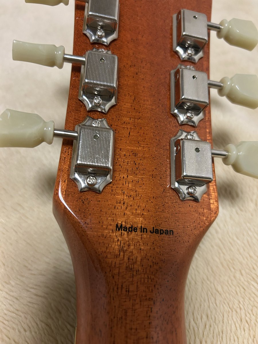 マダム銀子🦊 tweet media