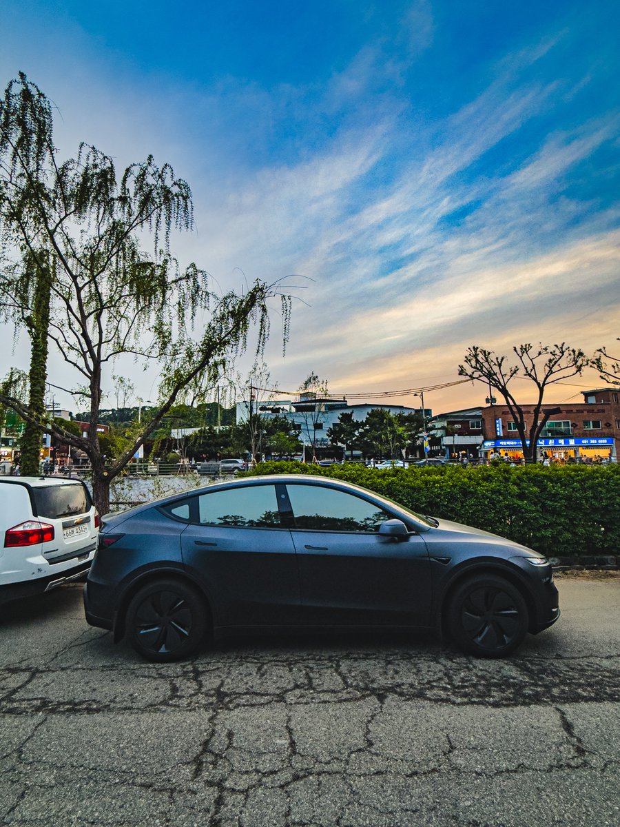 teslachoi테초이 tweet media