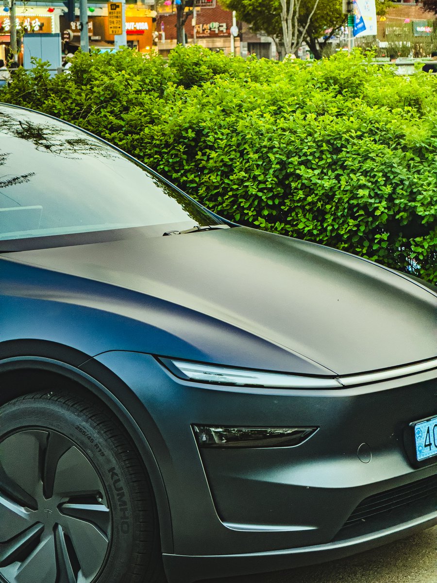 teslachoi테초이 tweet media