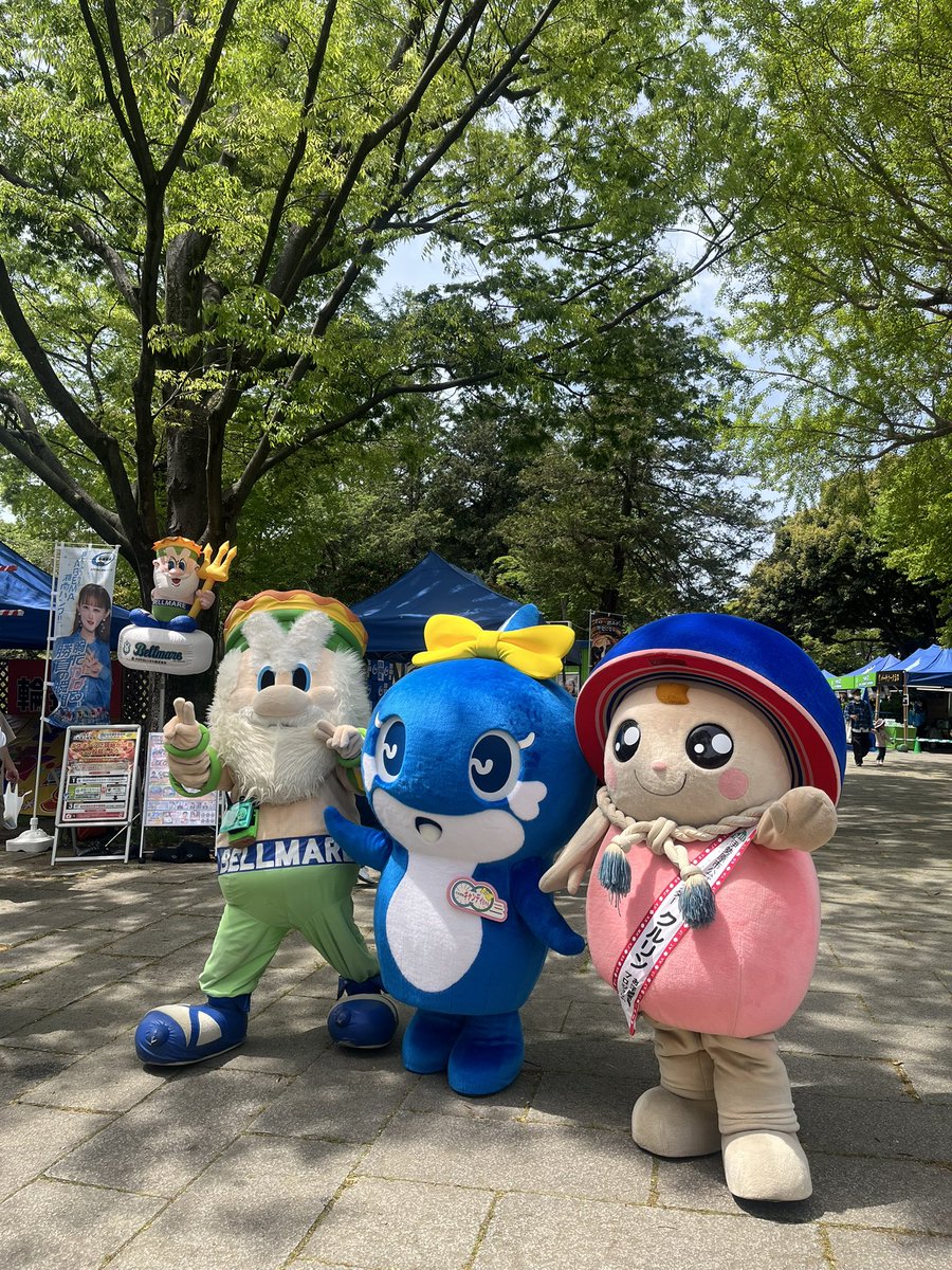 ベルプー tweet media