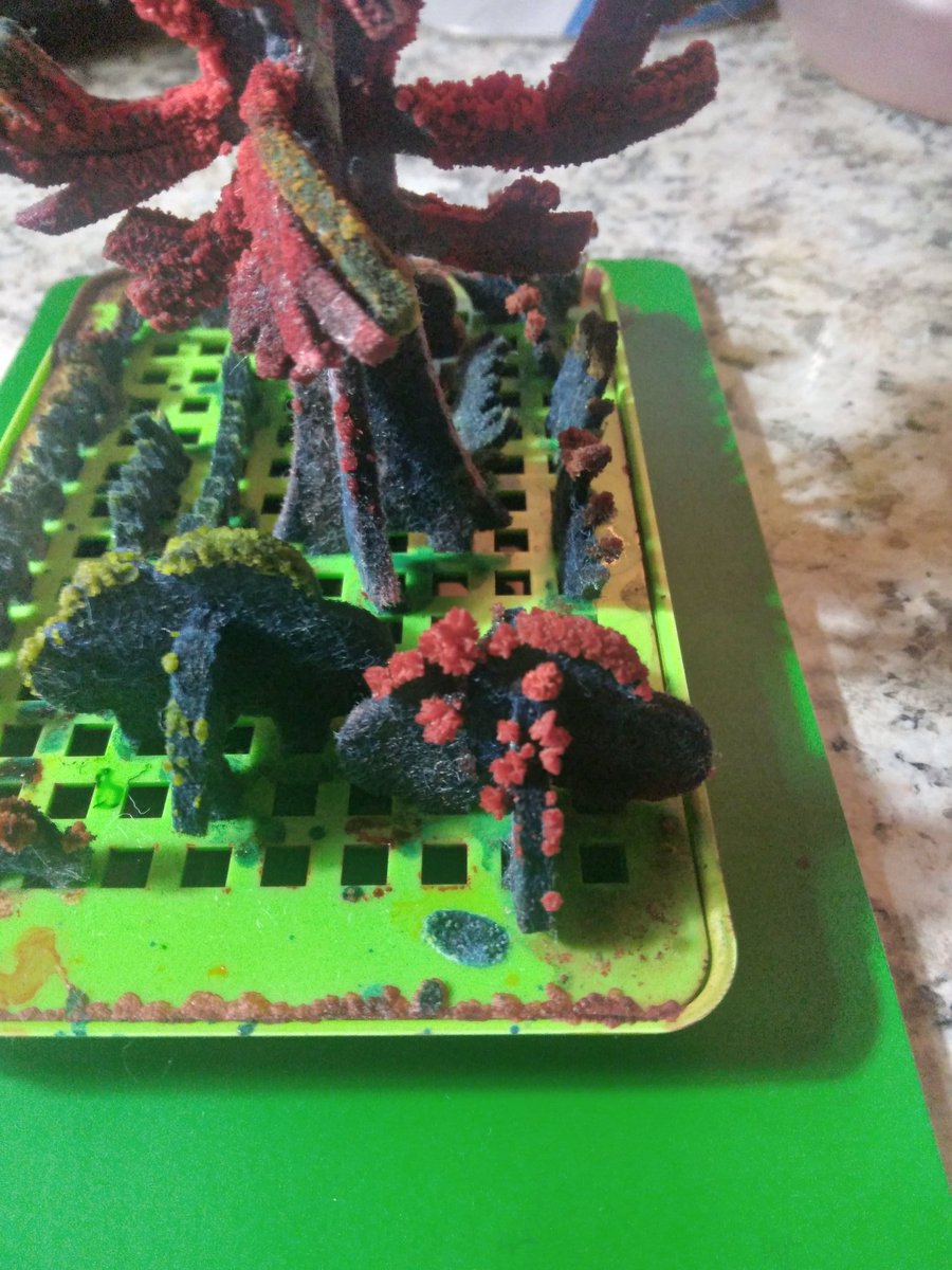 Williamsul1234's tweet image. #scienceproject  update ami is not up yet but her crystal project is looking good.