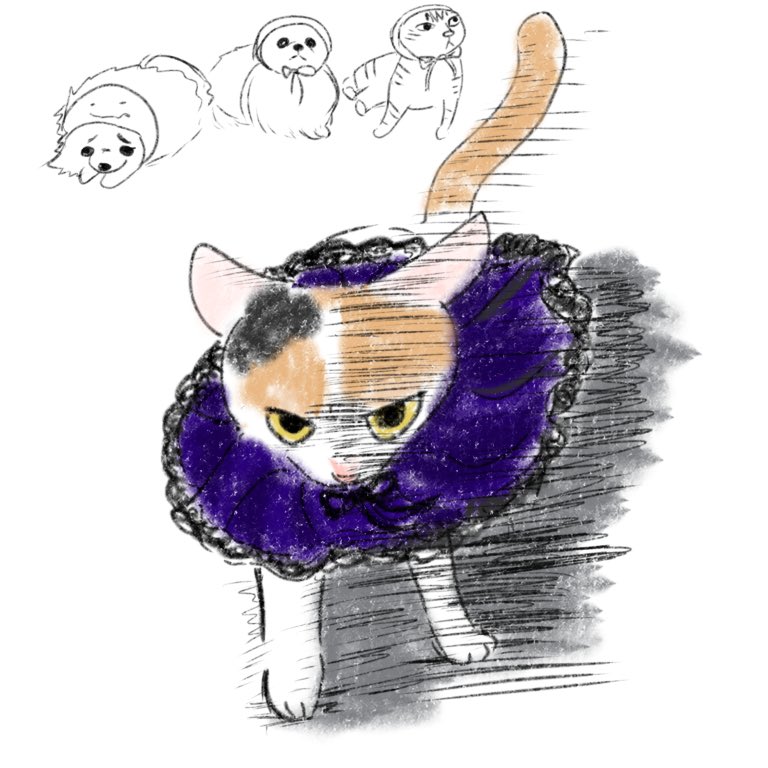 にゃっきーず tweet media