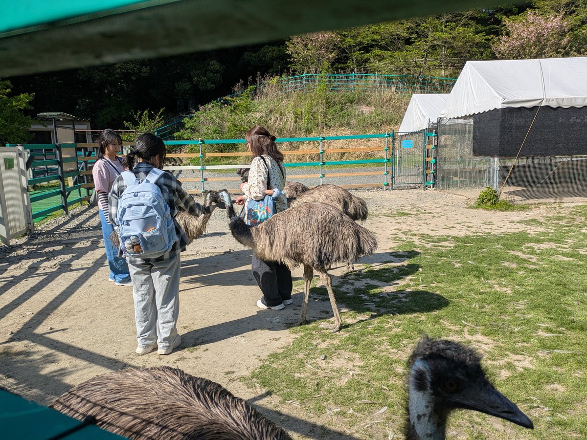 wave@UO介護Cooking tweet media