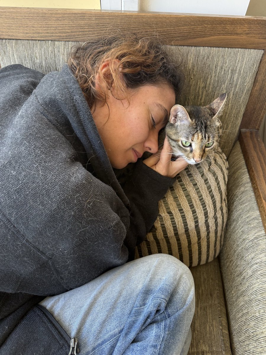 Dror Bren tweet media